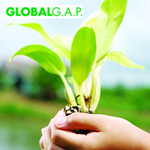 Global GAP - Gricultural production management system